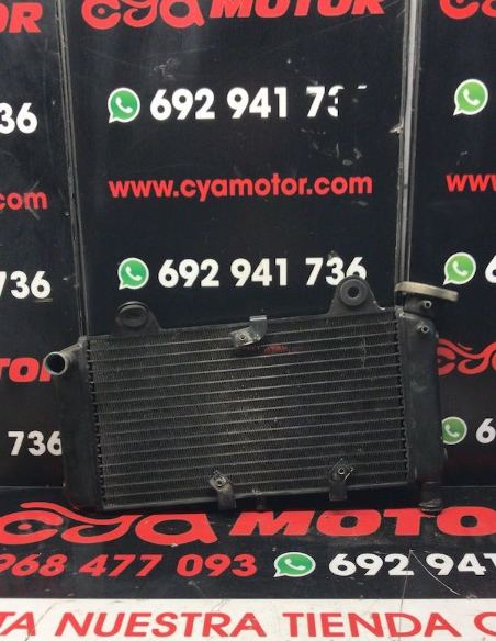 CYA-Motor-radiador-40