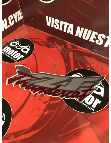 Pegatina Yamaha Thundercat 1996-1997...